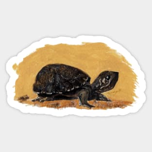 Stinkpot Turtle baby Sticker